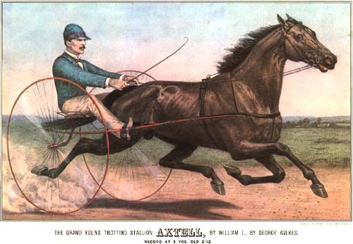 The Grand Young Trotting Stallion AXTELL